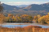 Bosque del Apache_72716